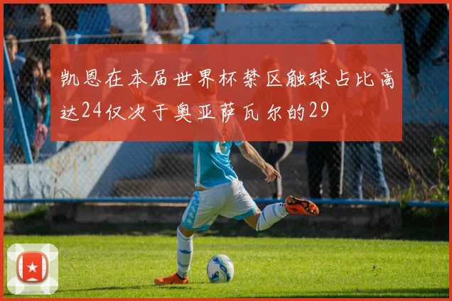 凯恩在本届世界杯禁区触球占比高达24仅次于奥亚萨瓦尔的29