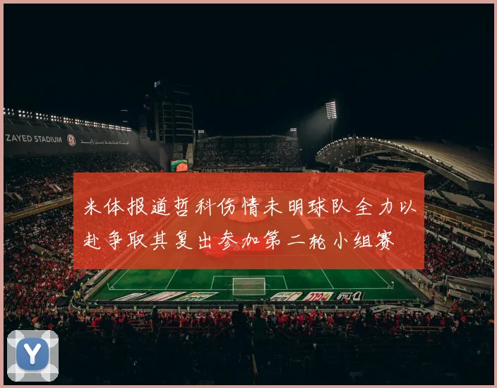 米体报道哲科伤情未明球队全力以赴争取其复出参加第二轮小组赛